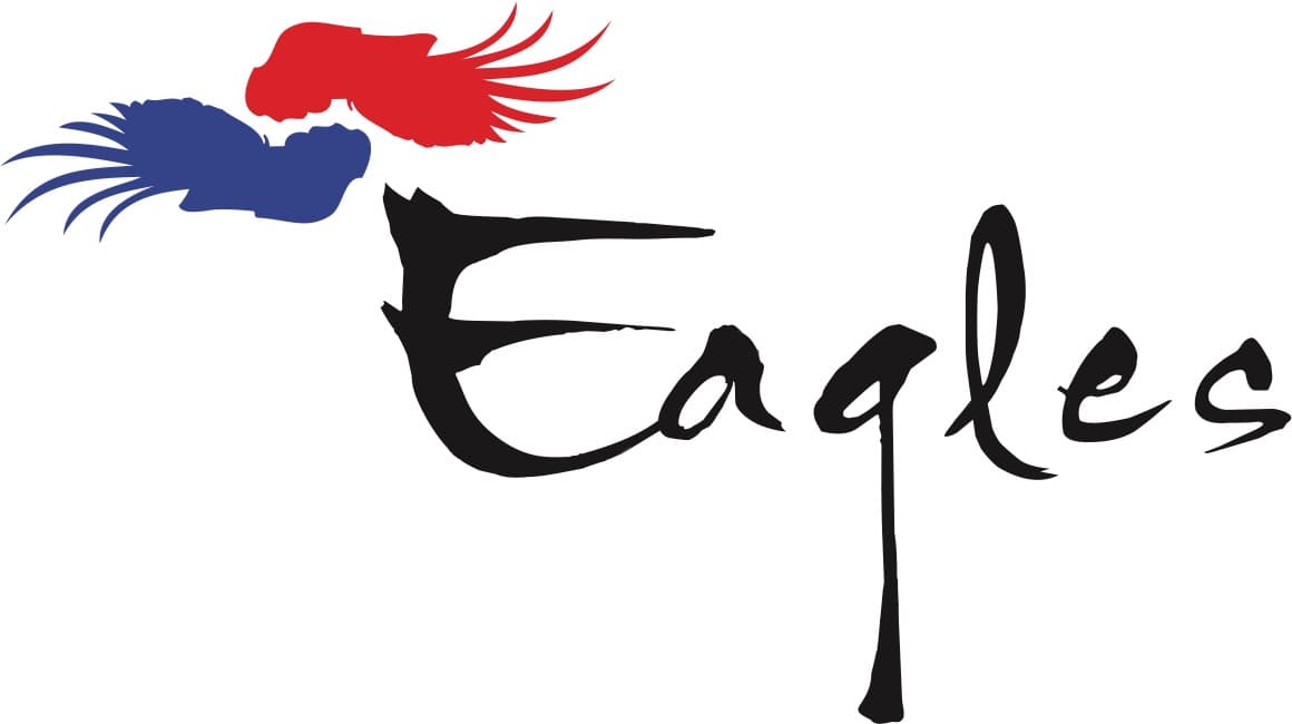 Eagles Team USA logo